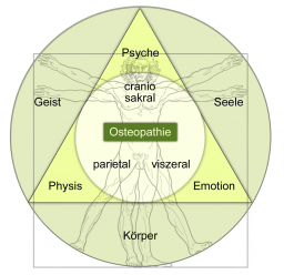 Vitruvian-Kopie.jpg